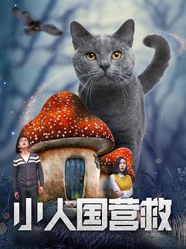 精品国产看高清国产毛片
